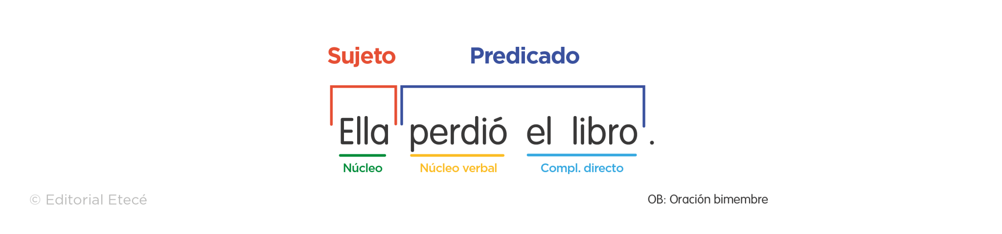 Complemento directo (qué es, características y ejemplos)